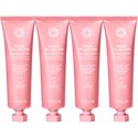 maria nila COVER COLLECTION LAUNCH KIT 5 pc.