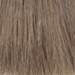 Milbon Demi Color 6N (6/0) 2 Fl. Oz.