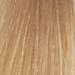 Milbon Demi Color 9BE (9/8) 2 Fl. Oz.