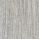 MOROCCANOIL Gloss 10.1/10B- Lightest Ash Blonde 2 Fl. Oz.