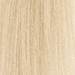 MOROCCANOIL Gloss 10.3/10G- Lightest Gold Blonde 2 Fl. Oz.