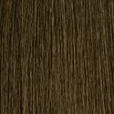 MOROCCANOIL Gloss 5.7/5Gr- Light Matte Brown 2 Fl. Oz.