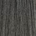 MOROCCANOIL Gloss 6.1/6B- Dark Ash Blonde 2 Fl. Oz.