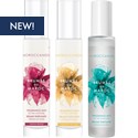 MOROCCANOIL BRUMES DU MOROC SALON DISPLAY KIT 16 pc.
