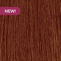MOROCCANOIL 6.49/6CCH- Dark Copper Chocolate Blonde 2 Fl. Oz.