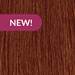 MOROCCANOIL 6.49/6CCH- Dark Copper Chocolate Blonde 2 Fl. Oz.