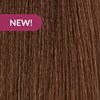 MOROCCANOIL 6.99/6CHCH- Intense Dark Chocolate Blonde 2 Fl. Oz.