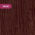 MOROCCANOIL 6.03/6NG- Dark Natural Gold Blonde 2 Fl. Oz.