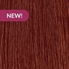 MOROCCANOIL 7.95/7CHRV- Medium Chocolate Mahogany Blonde 2 Fl. Oz.