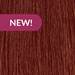 MOROCCANOIL 7.95/7CHRV- Medium Chocolate Mahogany Blonde 2 Fl. Oz.