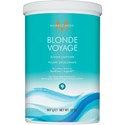 MOROCCANOIL POWDER LIGHTENER 2 lb.