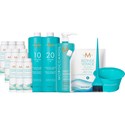 MOROCCANOIL SILVER LOYALTY HAIRCOLOR INTRO 231 pc.