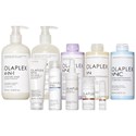 OLAPLEX GOLD SALON PACKAGE 77 pc.