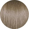 PRAVANA 10.02/10bv- Extra Light Sheer Beige Blonde 3 Fl. Oz.