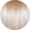 PRAVANA 10.13/10Ag- Extra Light Ash Golden Blonde 3 Fl. Oz.