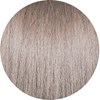 PRAVANA 10.72/10Vbv- Extra Light Violet Beige Blonde 3 Fl. Oz.