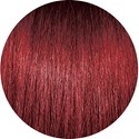 PRAVANA 6.66/6RR- Dark Intense Red Blonde 3 Fl. Oz.
