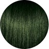 PRAVANA Ash Green 3 Fl. Oz.