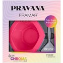 PRAVANA Color Bowl + Brush Set 4 pc.