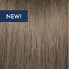 PRAVANA 6BV- Dark Beige Blonde 3 Fl. Oz.